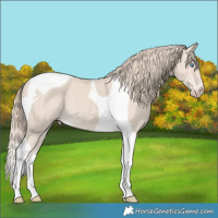 Horse Color:Smoky Creme Tobiano 