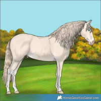 Horse Color:Perlino 