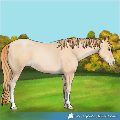 Horse Color:Smoky Black Pearl