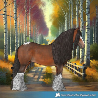 Horse Color:White Spotted Bay Tobiano 
