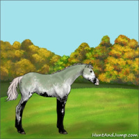 Horse Color:Watercolor White Spotted Silver Black 