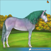 Horse Color:Watercolor Bay Onyx 