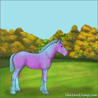 Horse Color:Watercolor Bay 
