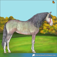Horse Color:Watercolor Bay Onyx Appaloosa Brindle 