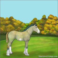 Horse Color:Watercolor Bay Splash Frame 