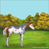 Horse Color:Painted Silver Bay Splash Frame 