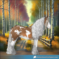 Horse Color:White Spotted Chocolate Palomino Splash 