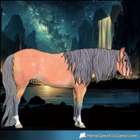 Horse Color:Watercolor Buckskin 