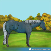 Horse Color:ERROR: UNKNOWN ANOMALY