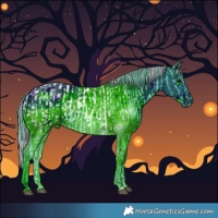 Horse Color:Watercolor Black Appaloosa  and ERROR: UNKNOWN ANOMALY