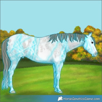 Horse Color:Thunderstruck Smoky Grullo Roan Splash Appaloosa