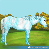 Horse Color:Thunderstruck Smoky Grullo Roan Splash Blanket 