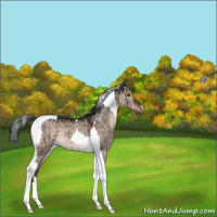Horse Color:Brown Dun Mushroom Tobiano Brindle