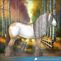 Horse Color:Amber Cream Champagne Frame