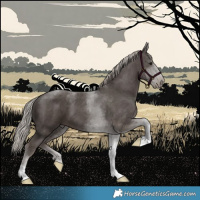Horse Color:Silver Black Tobiano
