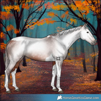 Horse Color:Gray Chocolate Bay Tobiano 