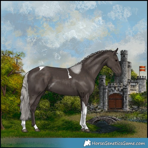 Horse Color:Silver Black Tobiano 