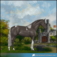 Horse Color:Silver Black Tobiano 