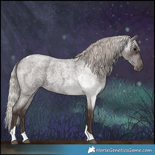 Horse Color:Silver Blue Roan Tobiano 