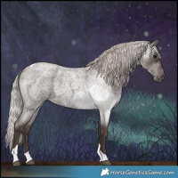 Horse Color:Silver Blue Roan Tobiano 