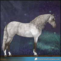 Horse Color:Silver Blue Roan Tobiano