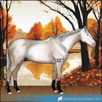 Horse Color:Gray Void Silver Smoky Black Pearl