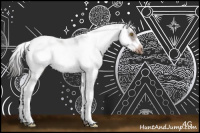 Horse Color:Liver Chestnut Sabino Frame Rabicano 