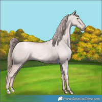 Horse Color:Platinum Gold Champagne Dun 