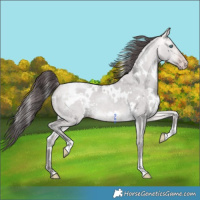 Horse Color:Platinum White Spotted Amber Cream Champagne Dun 