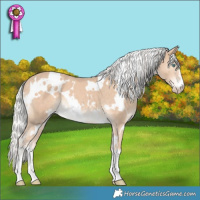 Horse Color:White Spotted Silver Perlino 