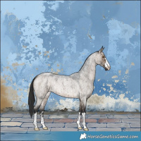 Horse Color:Brown Roan Dun Brindle 