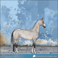 Horse Color:Brown Roan Dun Brindle 