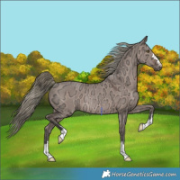 Horse Color:Liver Red Dun Ice Mushroom Rabicano