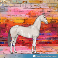 Horse Color:Liver Red Dun Sabino Tobiano Appaloosa 