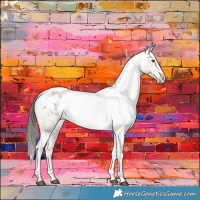 Horse Color:Liver Red Dun Sabino Tobiano Appaloosa 