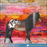 Horse Color:Brown Tobiano Blanket 