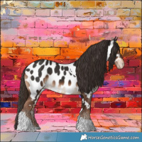 Horse Color:Liver Chestnut Tobiano Near Leopard 