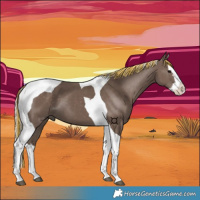 Horse Color:Painted Silver Black Splash Tobiano 