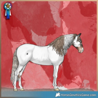 Horse Color:Liver Chestnut Tobiano Near Fewspot