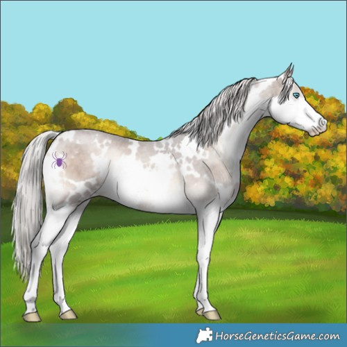 Horse Color:White Spotted Silver Brown Onyx Splash 