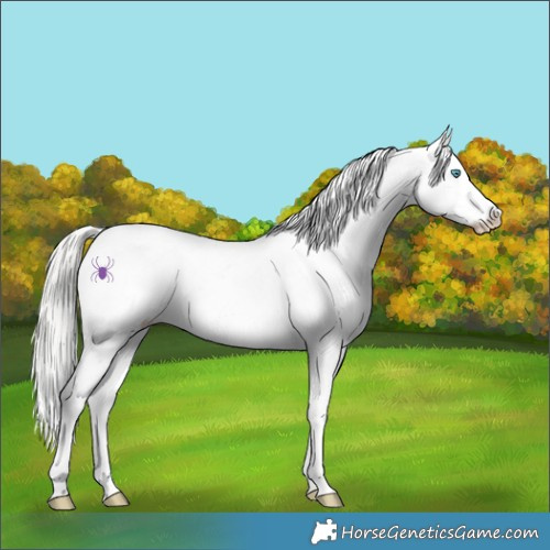 Horse Color:White Spotted Silver Brown Pearl Onyx Mushroom Splash Tobiano Appaloosa 