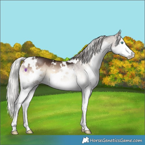 Horse Color:White Spotted Silver Brown Onyx Splash 