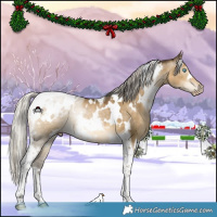 Horse Color:Gray White Spotted Silver Buckskin Pearl Dun Mushroom Tobiano 