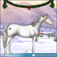 Horse Color:Gray White Spotted Silver Smoky Grullo Pearl Onyx Tobiano 