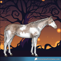 Horse Color:Silver Black Splash Tobiano