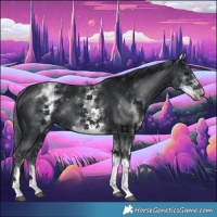 Horse Color:White Spotted Black Tobiano Rabicano 