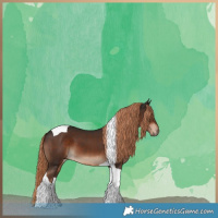 Horse Color:Liver Chestnut Tobiano 