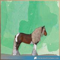 Horse Color:Liver Chestnut Tobiano