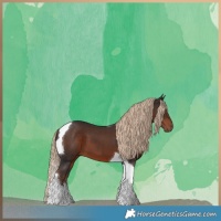 Horse Color:Liver Chestnut Tobiano 