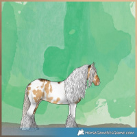 Horse Color:Chocolate Palomino Dun Tobiano Near Leopard 